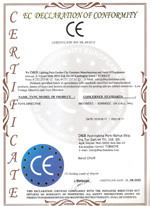 certificate_5.jpg