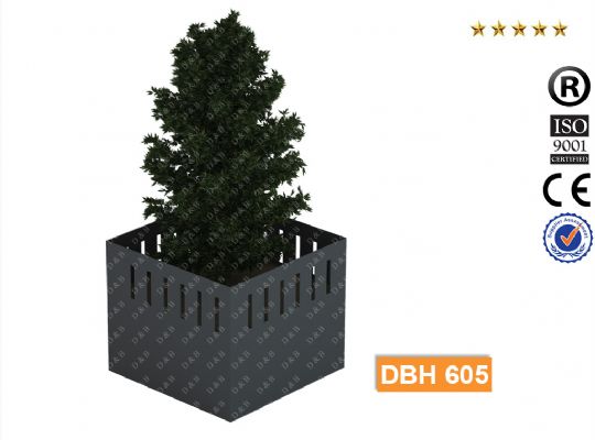 DBH 605